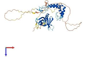 SPRED2 Protein (AA 1-418) (His tag)