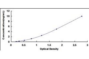 MYCBP ELISA Kit