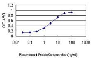 Detection limit for recombinant GST tagged SREBF1 is approximately 0. (SREBF1 Antikörper  (AA 801-900))