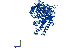 Protein Structure (PS) image for Cytochrome P450, Family 2, Subfamily J, Polypeptide 2 (CYP2J2) (AA 1-502) protein (His tag) (ABIN7546734)