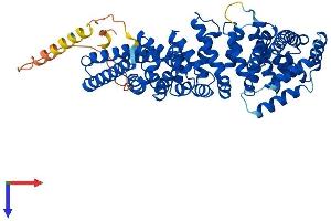 CTNNBL1 Protein (AA 1-563) (His tag)