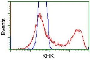 HEK293T cells transfected with either RC202424 overexpress plasmid (Red) or empty vector control plasmid (Blue) were immunostained by anti-KHK antibody (ABIN2453195), and then analyzed by flow cytometry. (Ketohexokinase Antikörper)