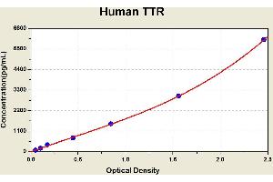 Diagramm of the ELISA kit to detect Human TTRwith the optical density on the x-axis and the concentration on the y-axis.