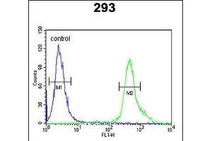 TP73 Antibody (Center) (ABIN652829 and ABIN2842541) flow cytometric analysis of 293 cells (right histogram) compared to a negative control cell (left histogram). (Tumor Protein p73 Antikörper  (AA 288-317))