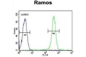 GPI Antibody (C-term) flow cytometric analysis of Ramos cells (right histogram) compared to a negative control cell (left histogram).