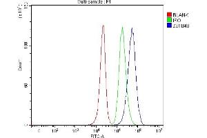 anti-Zinc Finger and BTB Domain Containing 48 (ZBTB48) (AA 24-664) antibody
