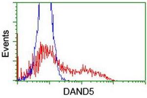 Image no. 2 for anti-DAN Domain Family, Member 5 (DAND5) (AA 23-189) antibody (ABIN1491236) (DAND5 Antikörper  (AA 23-189))