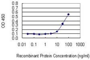 ELISA image for anti-Eukaryotic Translation Initiation Factor 2D (EIF2D) (AA 485-584) antibody (ABIN515176)