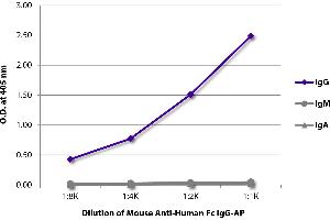 ELISA plate was coated with purified human IgG, IgM, and IgA. (Maus anti-Human IgG (Fc Region) Antikörper (Alkaline Phosphatase (AP)))