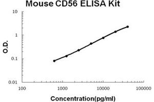 Mouse CD56/NCAM1 PicoKine ELISA Kit standard curve