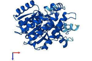 DHRS12 Protein (AA 1-317) (His tag)