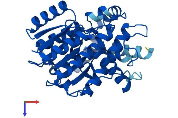 DHRS12 Protein (AA 1-317) (His tag)