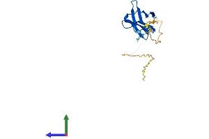 Protein Structure (PS) image for Heat Shock 27kDa Protein Family, Member 7 (Cardiovascular) (HSPB7) (AA 1-170) protein (His tag) (ABIN7548413)