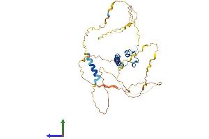 Protein Structure (PS) image for DMRT-Like Family C2 (DMRTC2) (AA 1-367) protein (His tag) (ABIN7547138)