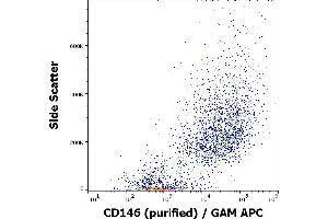 Flow cytometry surface staining pattern of HUVEC cells stained using anti-human CD146 (P1H12) purified antibody (concentration in sample 1 μg/mL) GAM APC. (MCAM Antikörper)