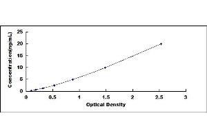 Typical standard curve (CRYbB2 ELISA Kit)