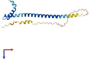 DYDC2 Protein (AA 1-177) (His tag)