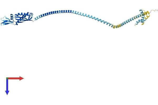 Flotillin 1 Protein (FLOT1) (AA 1-427) (His tag)