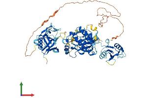 Protein Structure (PS) image for BMX Non-Receptor Tyrosine Kinase (BMX) (AA 1-651) protein (His tag) (ABIN7563561)