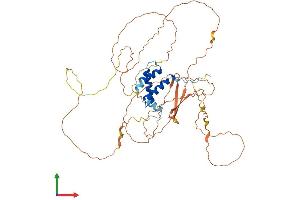 AlphaFold protein structure predicition of Human Recombinant CABYR Protein, UniprotID O75952