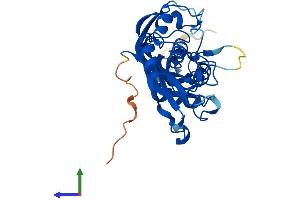 Protein Structure (PS) image for Pseudouridylate Synthase-Like 1 (PUSL1) (AA 1-303) protein (His tag) (ABIN7551114)