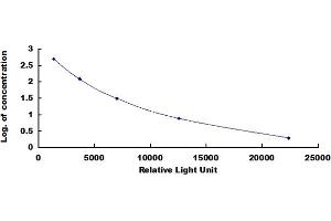 ELISA image for Albumin (ALB) CLIA Kit (ABIN4947337)