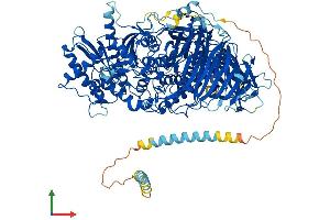 Protein Structure (PS) image for Mannosidase, Alpha, Class 2A, Member 1 (MAN2A1) (AA 1-1144) protein (His tag) (ABIN7554499)