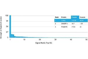 Analysis of Protein Array containing >19,000 full-length human proteins using Chromogranin A Recombinant Mouse Monoclonal Antibody (rCHGA/413) Z- and S- Score: The Z-score represents the strength of a signal that a monoclonal antibody (Monoclonal Antibody) (in combination with a fluorescently-tagged anti-IgG secondary antibody) produces when binding to a particular protein on the HuProtTM array. (Rekombinanter Chromogranin A Antikörper)