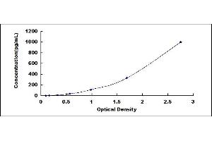 ELISA image for Brain Natriuretic Peptide (BNP) ELISA Kit (ABIN4947405)