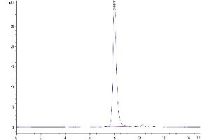 Size-exclusion chromatography-High Pressure Liquid Chromatography (SEC-HPLC) image for delta-Like 1 Homolog (Drosophila) (DLK1) (AA 24-303) protein (His tag) (ABIN7274477)