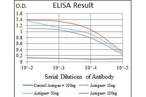 Black line: Control Antigen (100 ng), Purple line: Antigen(10 ng), Blue line: Antigen (50 ng), Red line: Antigen (100 ng), (T Antigen (AA 218-352) Antikörper)