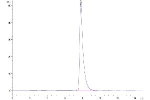 Size-exclusion chromatography-High Pressure Liquid Chromatography (SEC-HPLC) image for Poliovirus Receptor-Related 2 (Herpesvirus Entry Mediator B) (PVRL2) (AA 32-351) protein (His tag) (ABIN7275317)