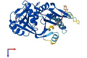 GLYATL2 Protein (AA 1-294) (His tag)