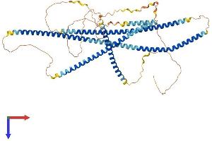 TNIP1 Protein (AA 1-636) (His tag)