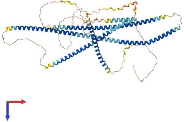 TNIP1 Protein (AA 1-636) (His tag)
