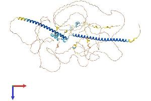 Retinoblastoma Binding Protein 8 Protein (RBBP8) (AA 1-893) (His tag)