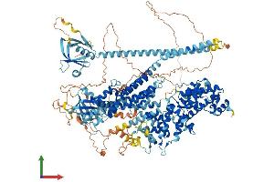 Protein Structure (PS) image for Ras Protein-Specific Guanine Nucleotide-Releasing Factor 1 (RASGRF1) (AA 1-1273) protein (His tag) (ABIN7555210)