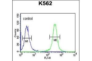 Flow Cytometry (FACS) image for anti-Heat Shock Protein 90kDa beta (Grp94), Member 1 (HSP90B1) (AA 16-43), (N-Term) antibody (ABIN651092)