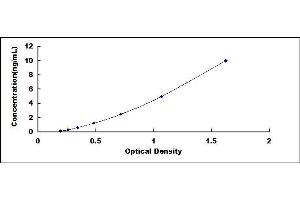 Typical standard curve (Sestrin 2 ELISA Kit)