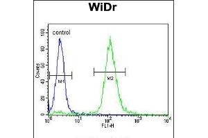 Flow cytometric analysis of WiDr cells (right histogram) compared to a negative control cell (left histogram).