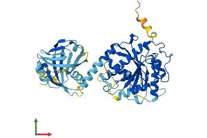 Protein Structure (PS) image for Interferon-Induced Protein 44-Like (IFI44L) (AA 1-452) protein (His tag) (ABIN7548508)