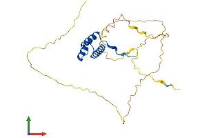 Protein Structure (PS) image for Distal-Less Homeobox Protein 1 (DLX1) (AA 1-255) protein (His tag) (ABIN7557823)