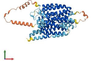 AlphaFold protein structure predicition of Mouse Recombinant Slc43a3 Protein, UniprotID A2AVZ9