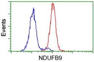 Flow Cytometry (FACS) image for anti-NADH Dehydrogenase (Ubiquinone) 1 beta Subcomplex, 9, 22kDa (NDUFB9) (AA 3-179) antibody (ABIN2727035)