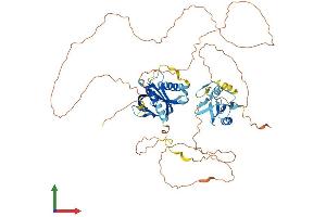 Protein Structure (PS) image for SHC (Src Homology 2 Domain Containing) Family, Member 4 (SHC4) (AA 1-626) protein (His tag) (ABIN7558104)