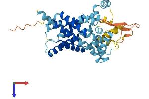 SLC25A40 Protein (AA 1-338) (His tag)
