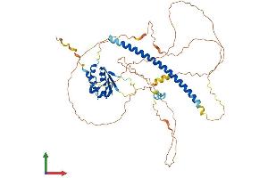 Protein Structure (PS) image for Heat Shock Transcription Factor 4 (HSF4) (AA 1-492) protein (His tag) (ABIN7548449)
