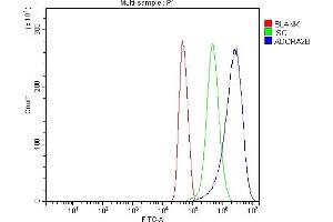 Flow Cytometry analysis of U251 cells using anti-ADORA2B antibody (ABIN7600066).