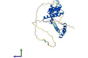 Protein Structure (PS) image for SIX Homeobox 2 (SIX2) (AA 1-296) protein (His tag) (ABIN7563956)