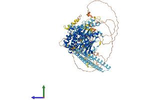 Protein Structure (PS) image for Protein Kinase N2 (PKN2) (AA 1-984) protein (His tag) (ABIN7555028)